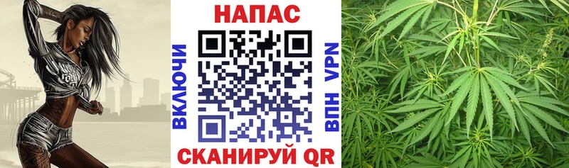 Какие есть наркотики Королёв Бошки Шишки Меф СОЛЬ ГАШИШ КОКАИН