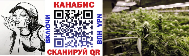 Бошки марихуана OG Kush  mega как зайти  Королёв  цена  